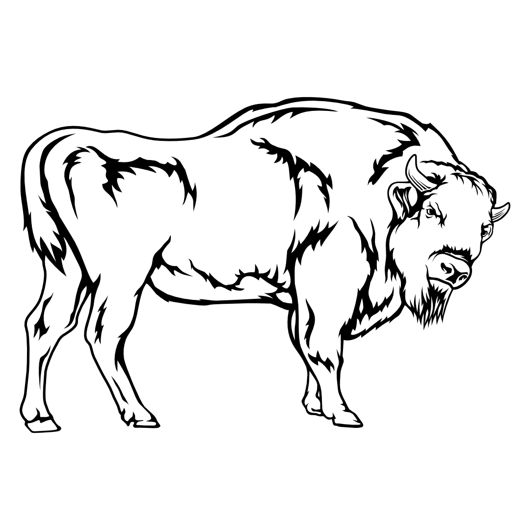 Bison – SVG | DXF | EPS | PNG | PDF