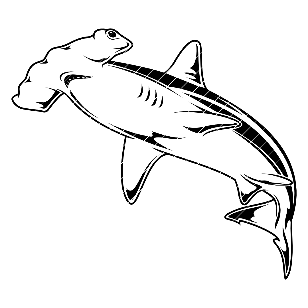 Hammerhai – SVG | DXF | EPS | PNG | PDF