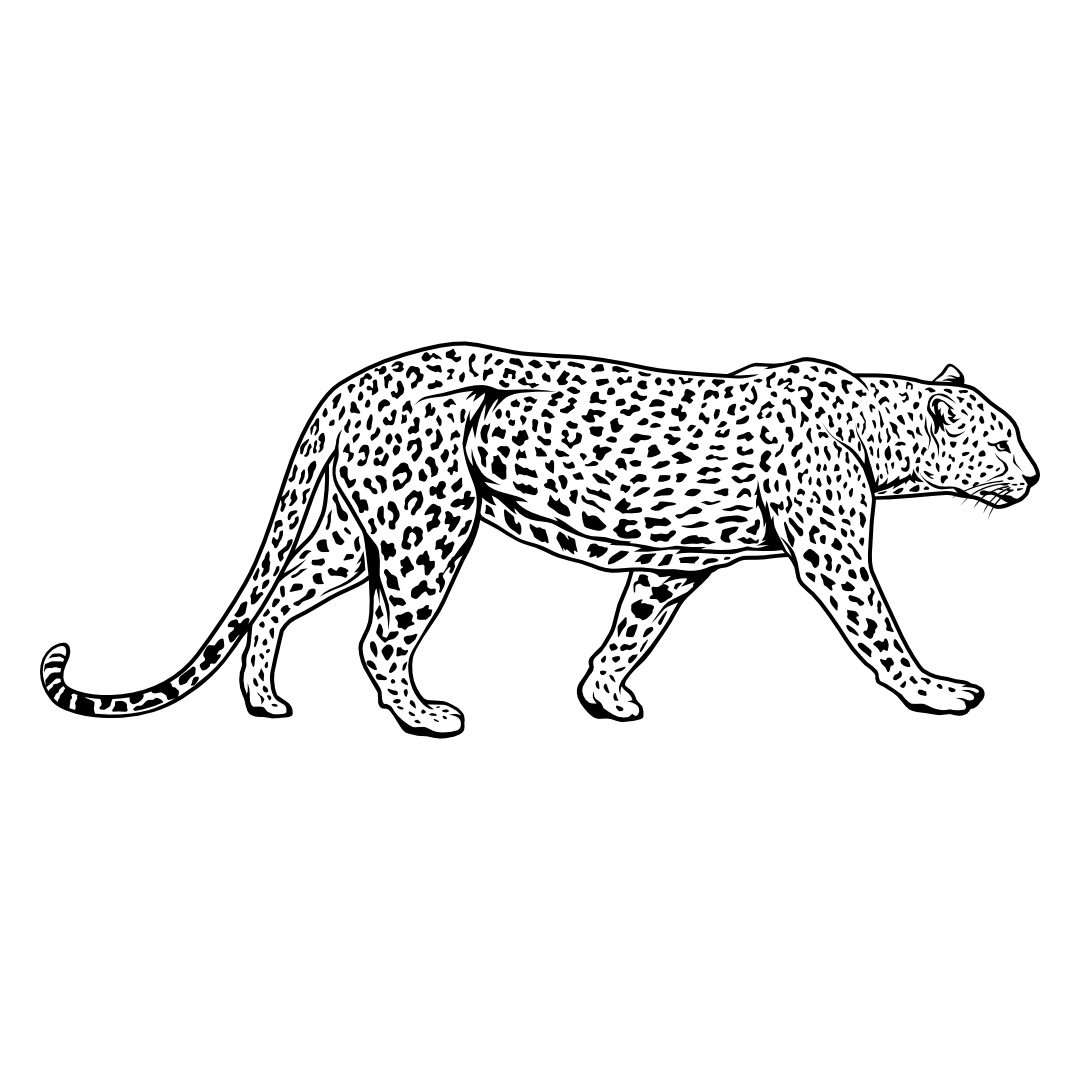 Leopard – SVG | DXF | EPS | PNG | PDF