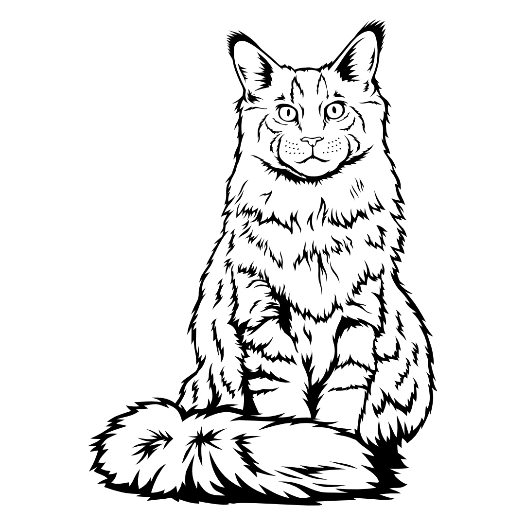Maine Coon Katze – SVG | DXF | EPS | PNG | PDF