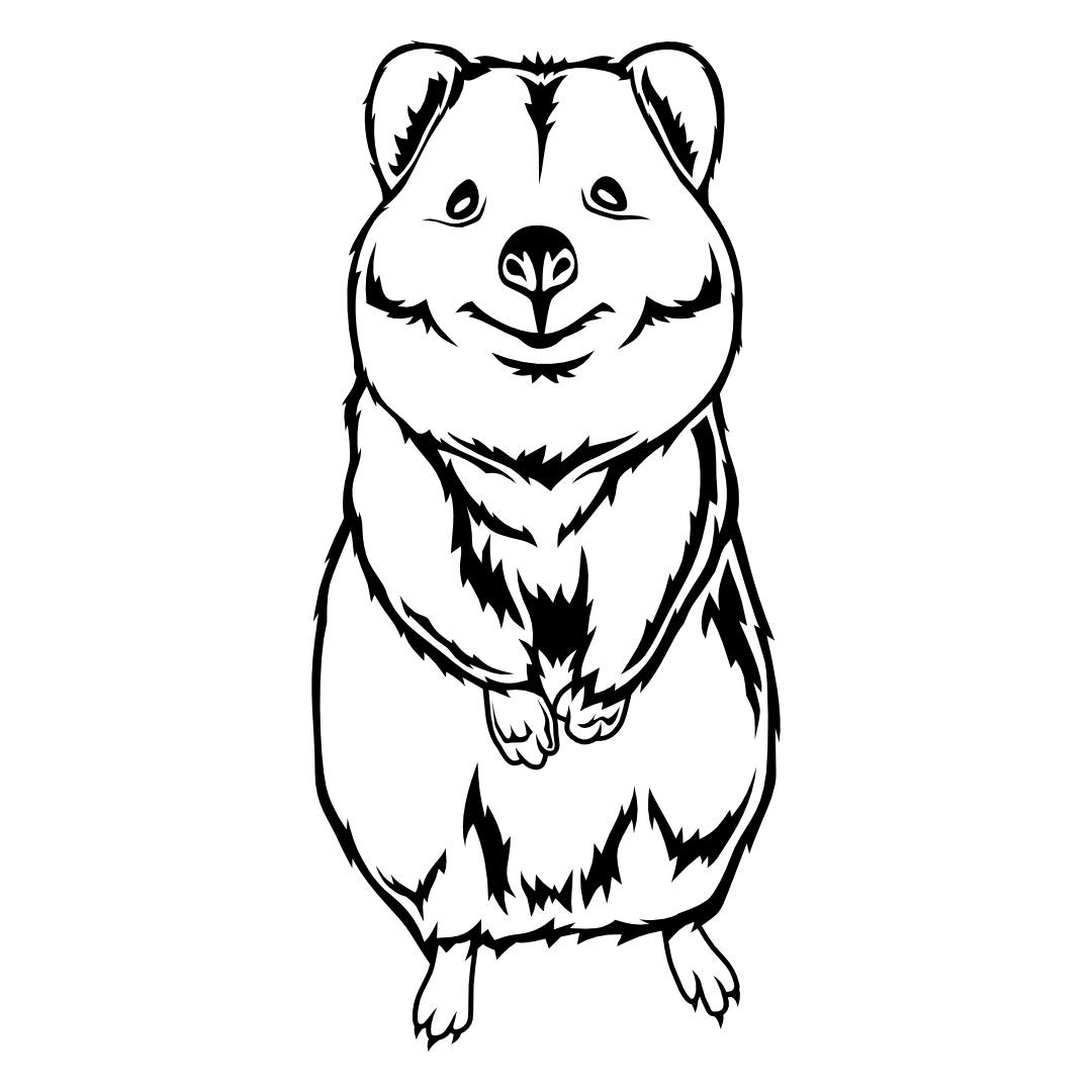 Quokka – SVG | DXF | EPS | PNG | PDF