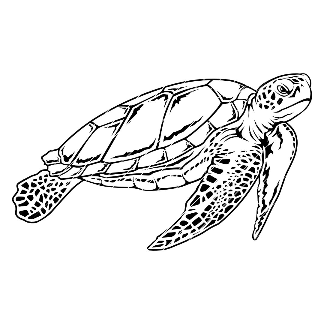 Schildkröte #2 – SVG | DXF | EPS | PNG | PDF