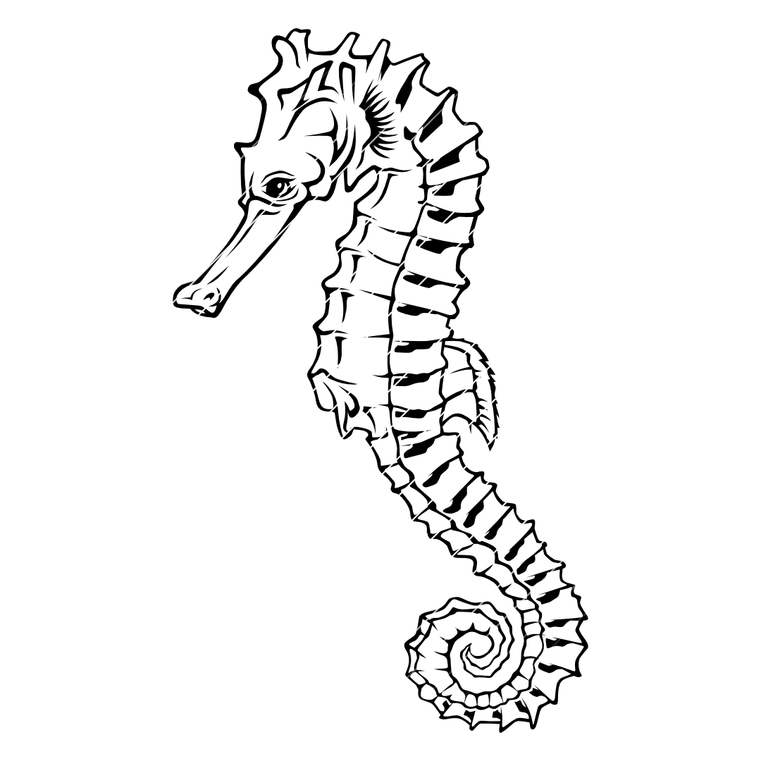 Seepferd – SVG | DXF | EPS | PNG | PDF
