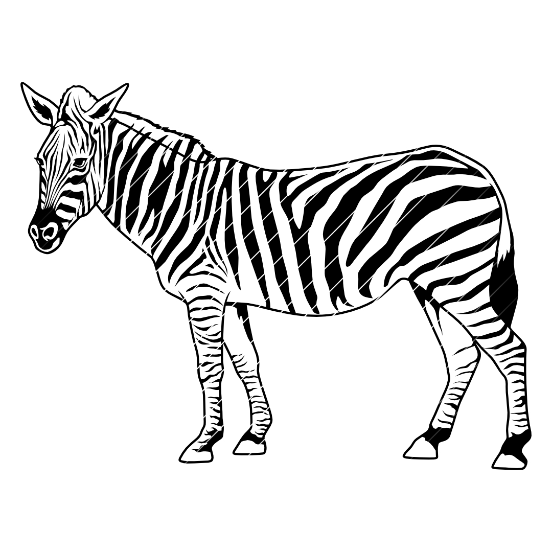 Zebra – SVG | DXF | EPS | PNG | PDF