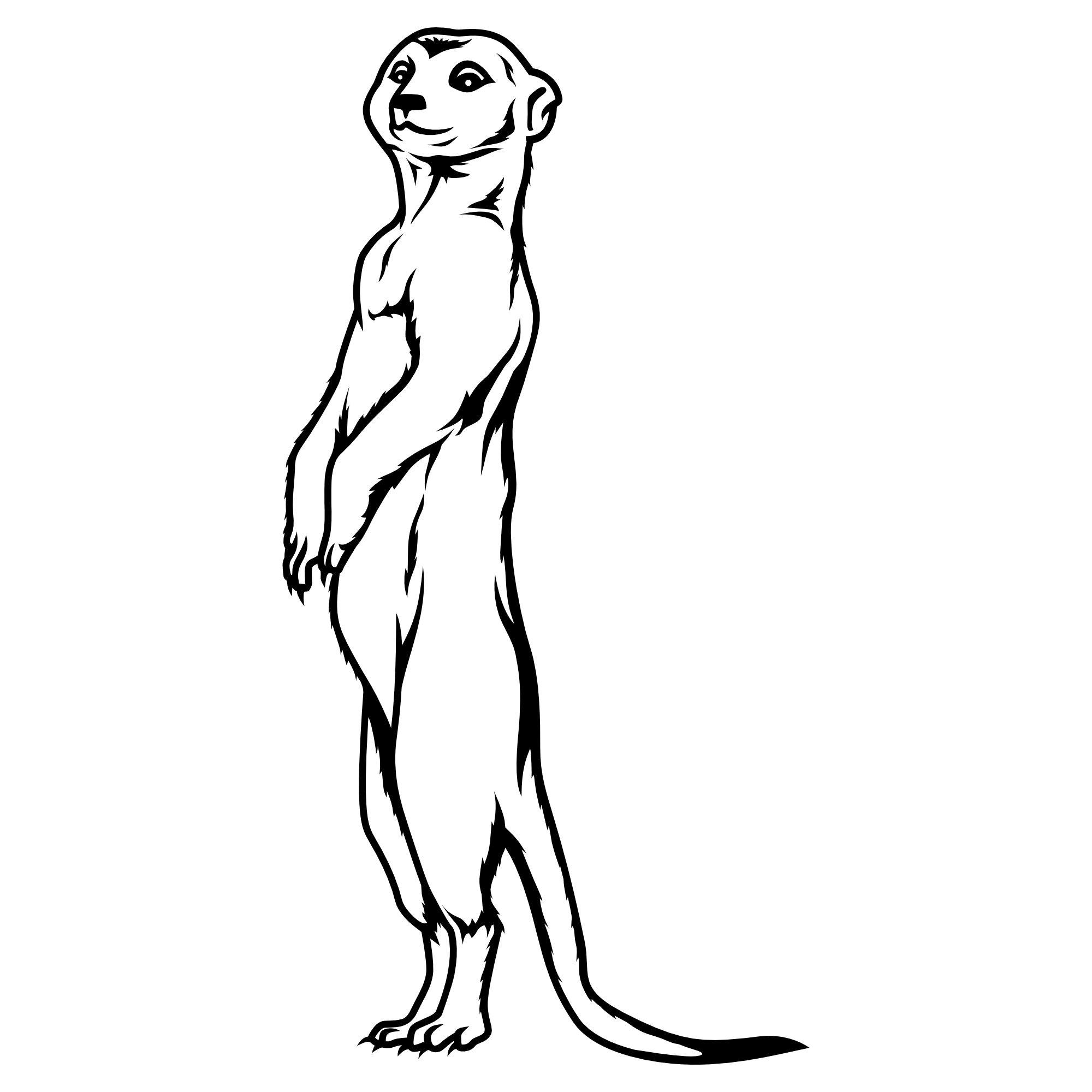 Erdmännchen – SVG | DXF | EPS | PNG | PDF