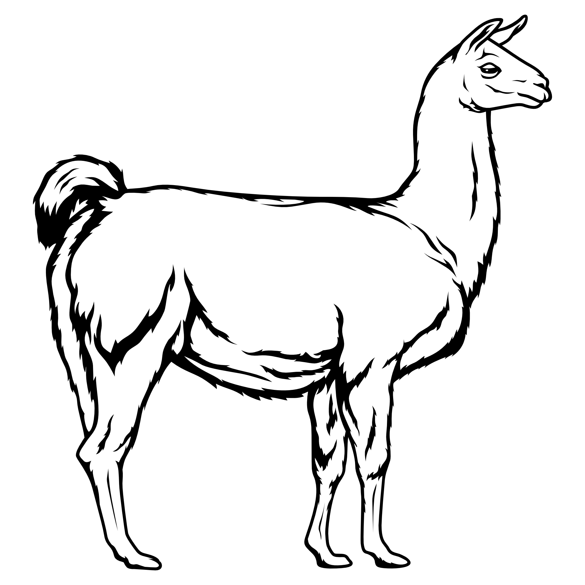 Lama – SVG | DXF | EPS | PNG | PDF