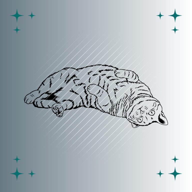 Maine Coon Katze #2 | Plotterdatei | SVG & PNG