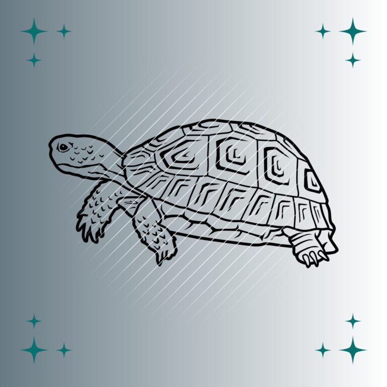 Landschildkröte | Plotterdatei | SVG & PNG