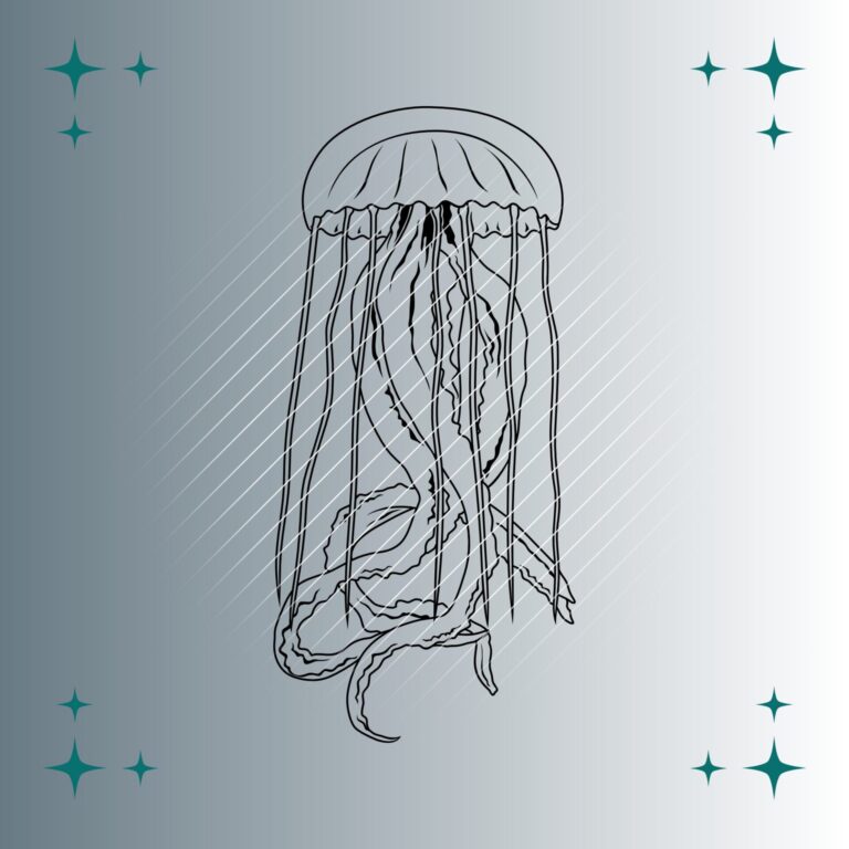 Qualle | Plotterdatei | SVG & PNG