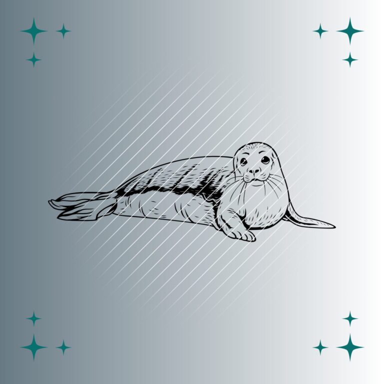 Seehund | Plotterdatei | SVG & PNG