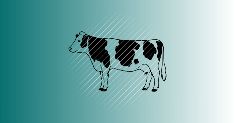 Fleckvieh Kuh | Plotterdatei | SVG & PNG