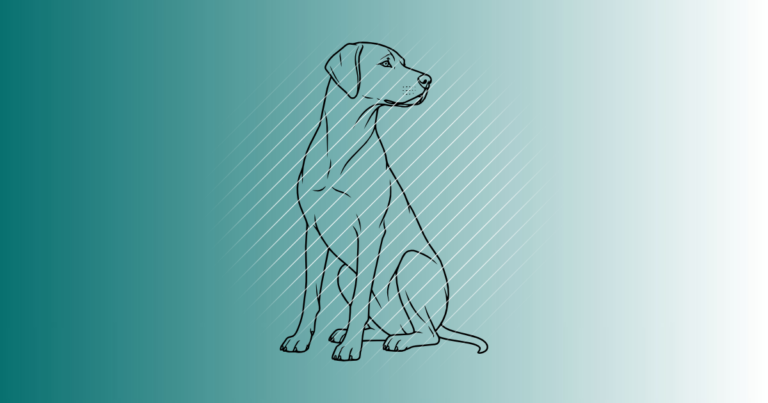 Rhodesian Ridgeback #2 | Plotterdatei | SVG & PNG