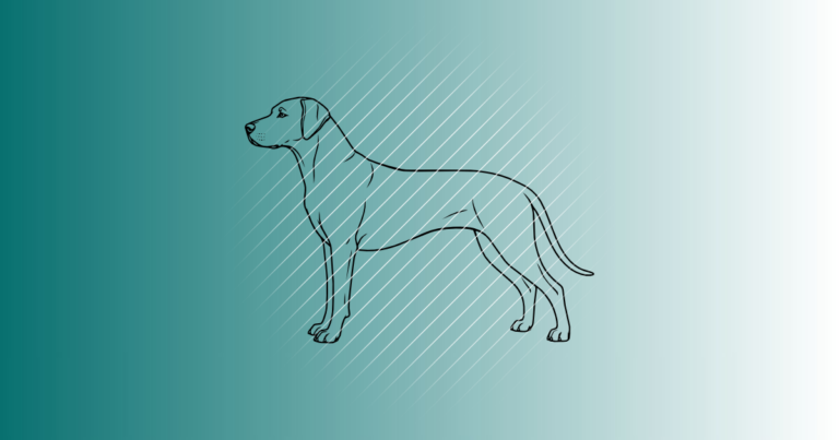 Rhodesian Ridgeback | Plotterdatei | SVG & PNG