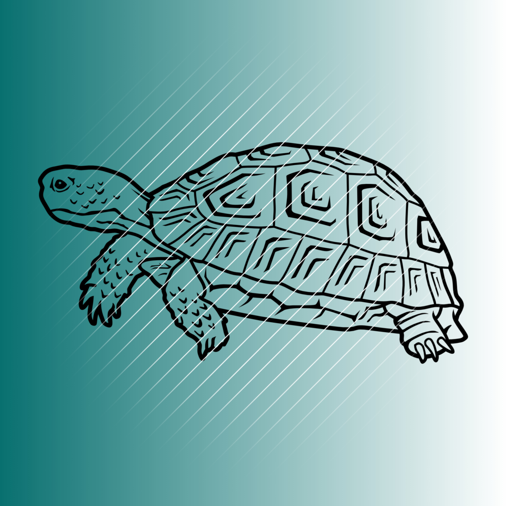 Landschildkröte | Plotterdatei | SVG & PNG
