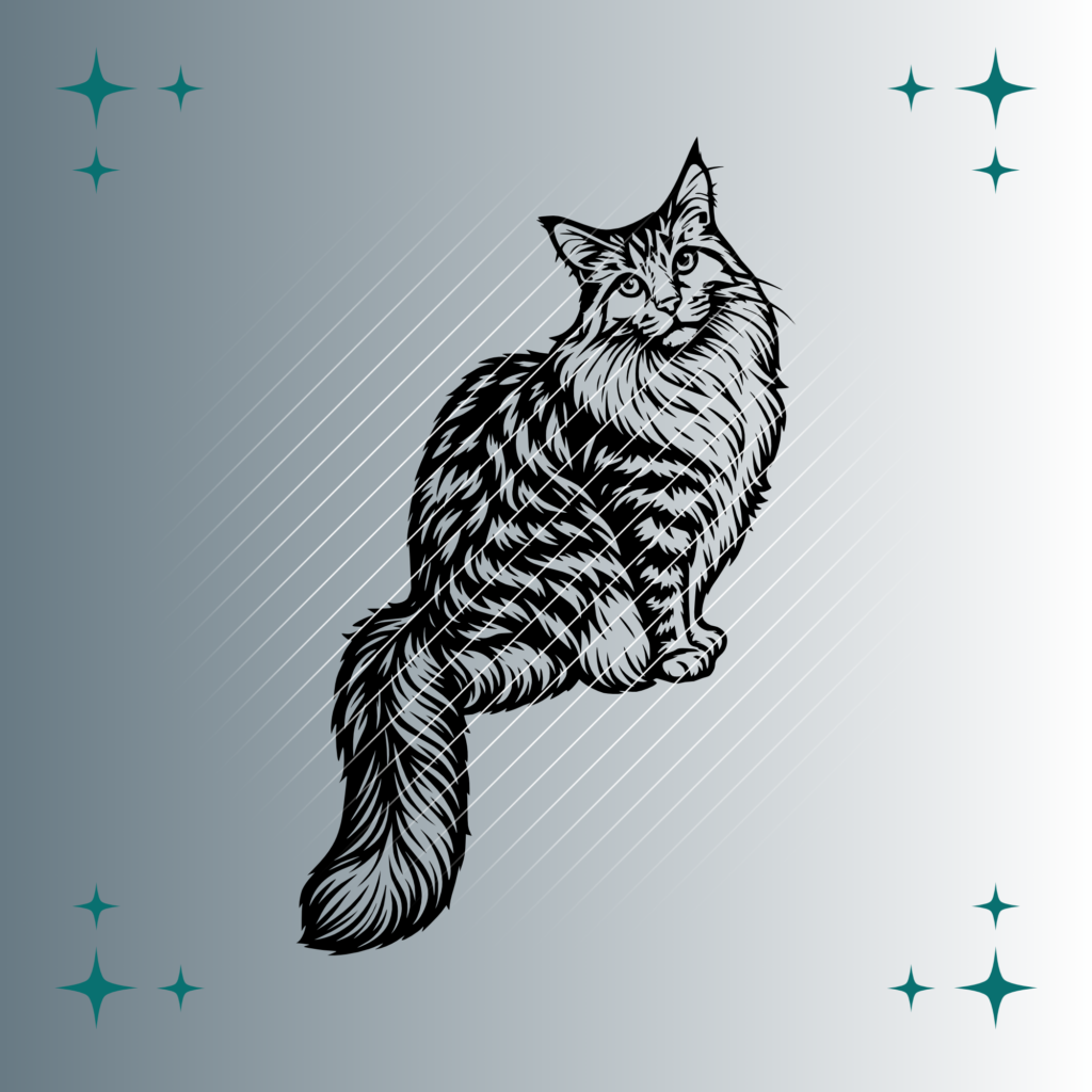 Maine Coon Katze #2 | Plotterdatei | SVG & PNG