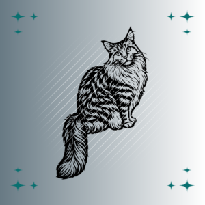 Maine Coon Katze #2 | Plotterdatei | SVG & PNG