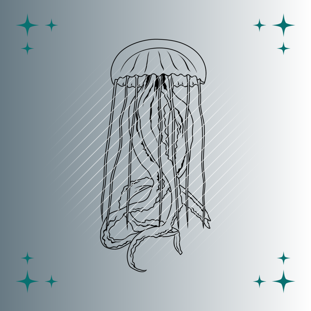 Qualle | Plotterdatei | SVG & PNG