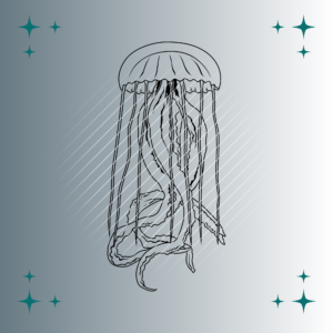 Qualle | Plotterdatei | SVG & PNG