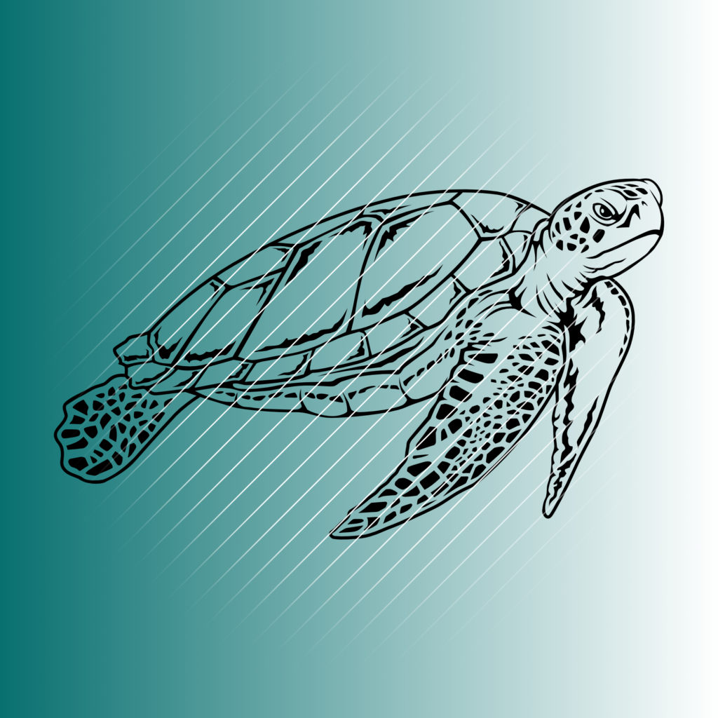 Schildkröte #2 | Plotterdatei | SVG & PNG