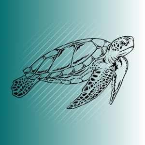 Schildkröte #2 | Plotterdatei | SVG & PNG