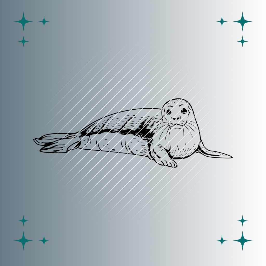 Seehund | Plotterdatei | SVG & PNG