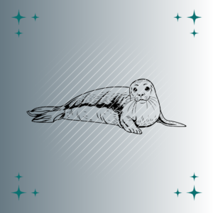 Seehund | Plotterdatei | SVG & PNG
