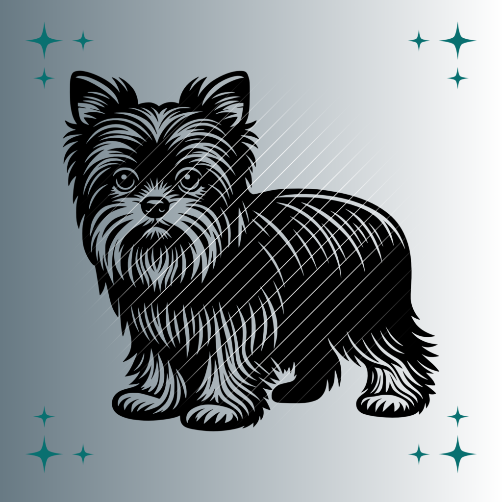Affenpinscher Hund | Plotterdatei | SVG & PNG