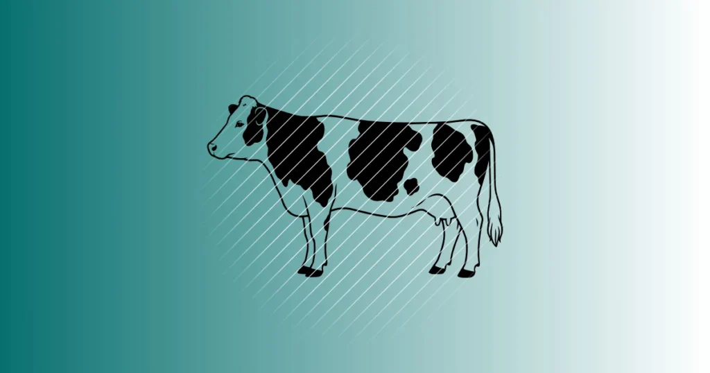 Fleckvieh Kuh | Plotterdatei | SVG & PNG