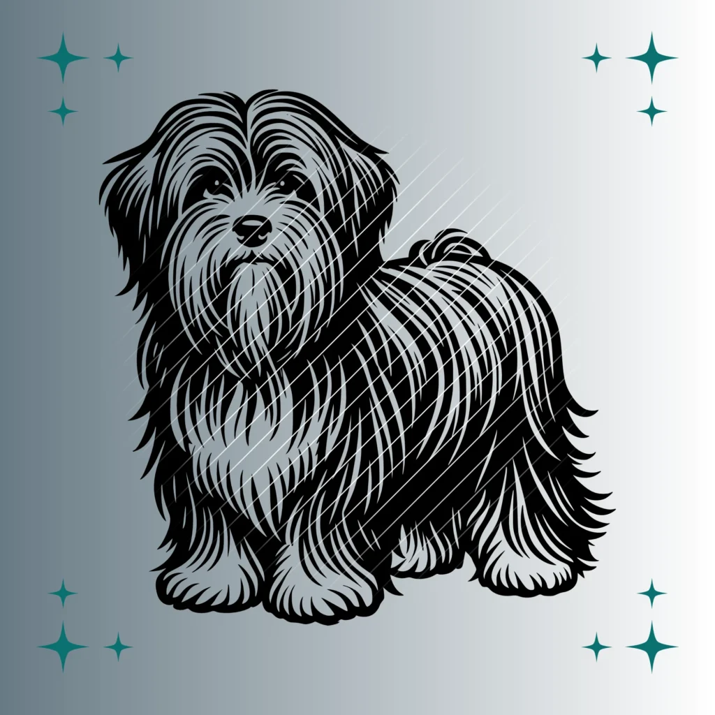 Tibet Terrier Hund | Plotterdatei SVG & PNG