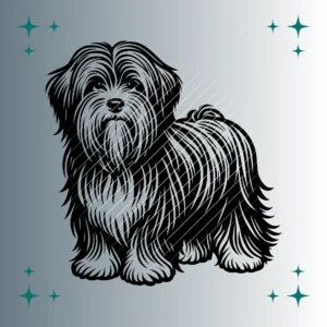 Tibet Terrier Hund | Plotterdatei SVG & PNG