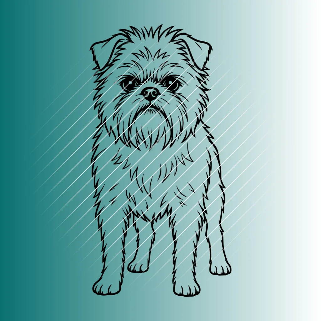 Affenpinscher Hund #2 | Plotterdatei SVG & PNG