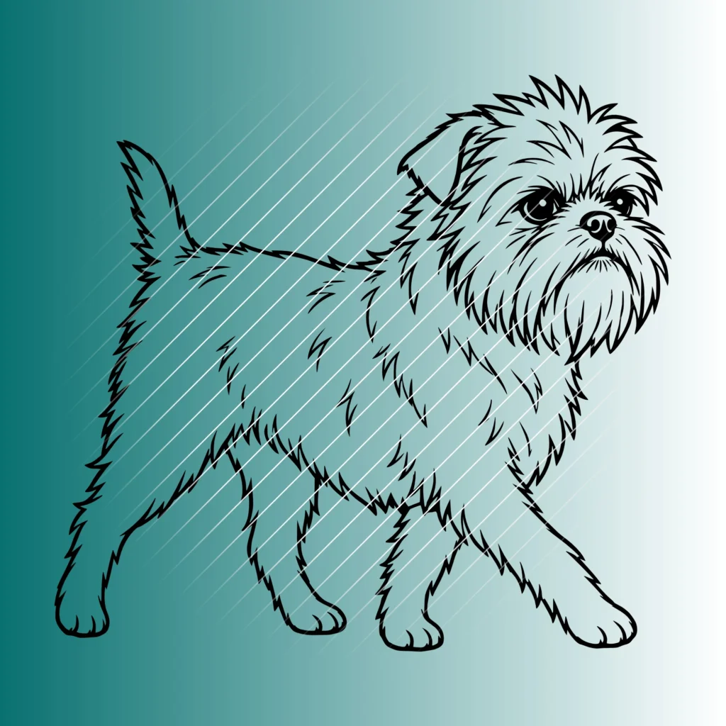 Affenpinscher Hund #3| Plotterdatei SVG & PNG