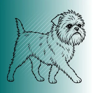 Affenpinscher Hund #3| Plotterdatei SVG & PNG