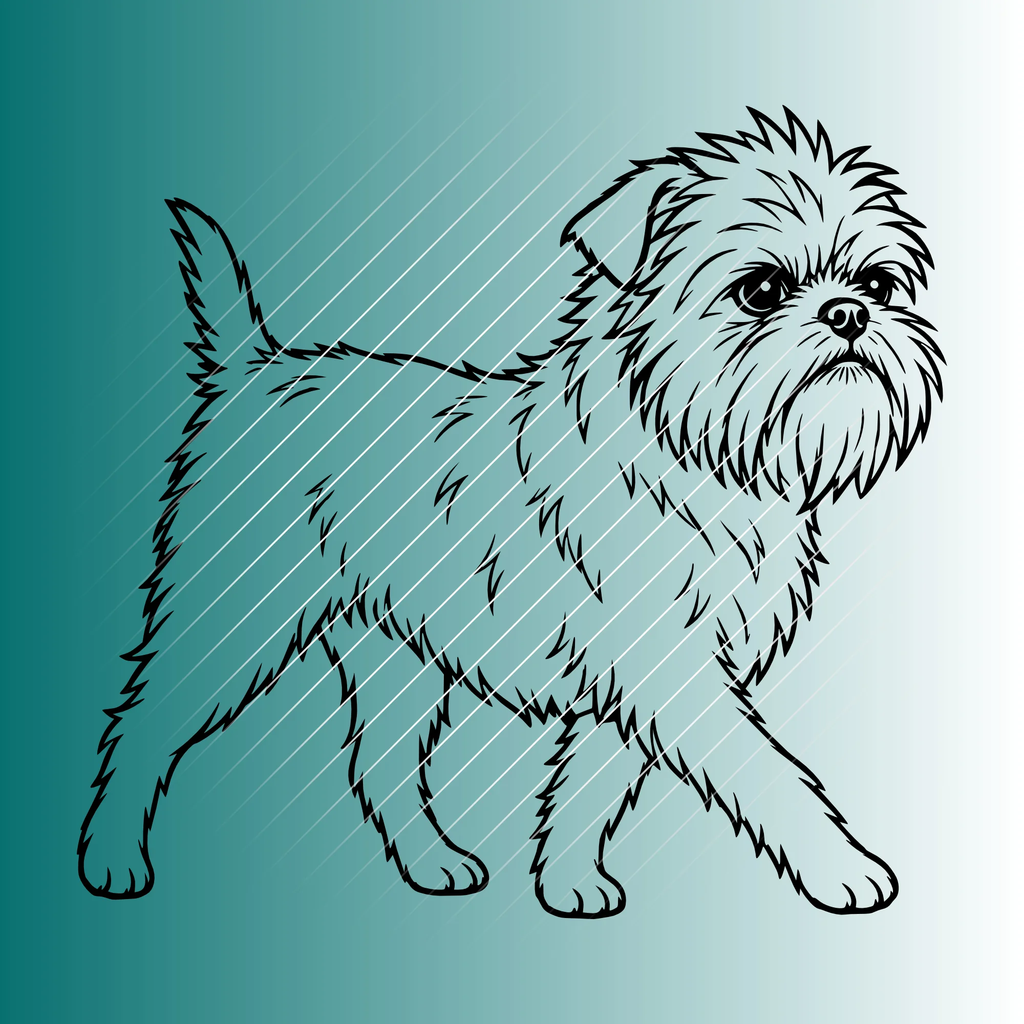 Affenpinscher Hund #3| Plotterdatei SVG & PNG