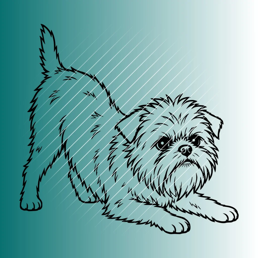 Affenpinscher Hund #4 | Plotterdatei SVG & PNG
