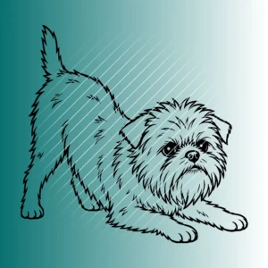 Affenpinscher Hund #4 | Plotterdatei SVG & PNG
