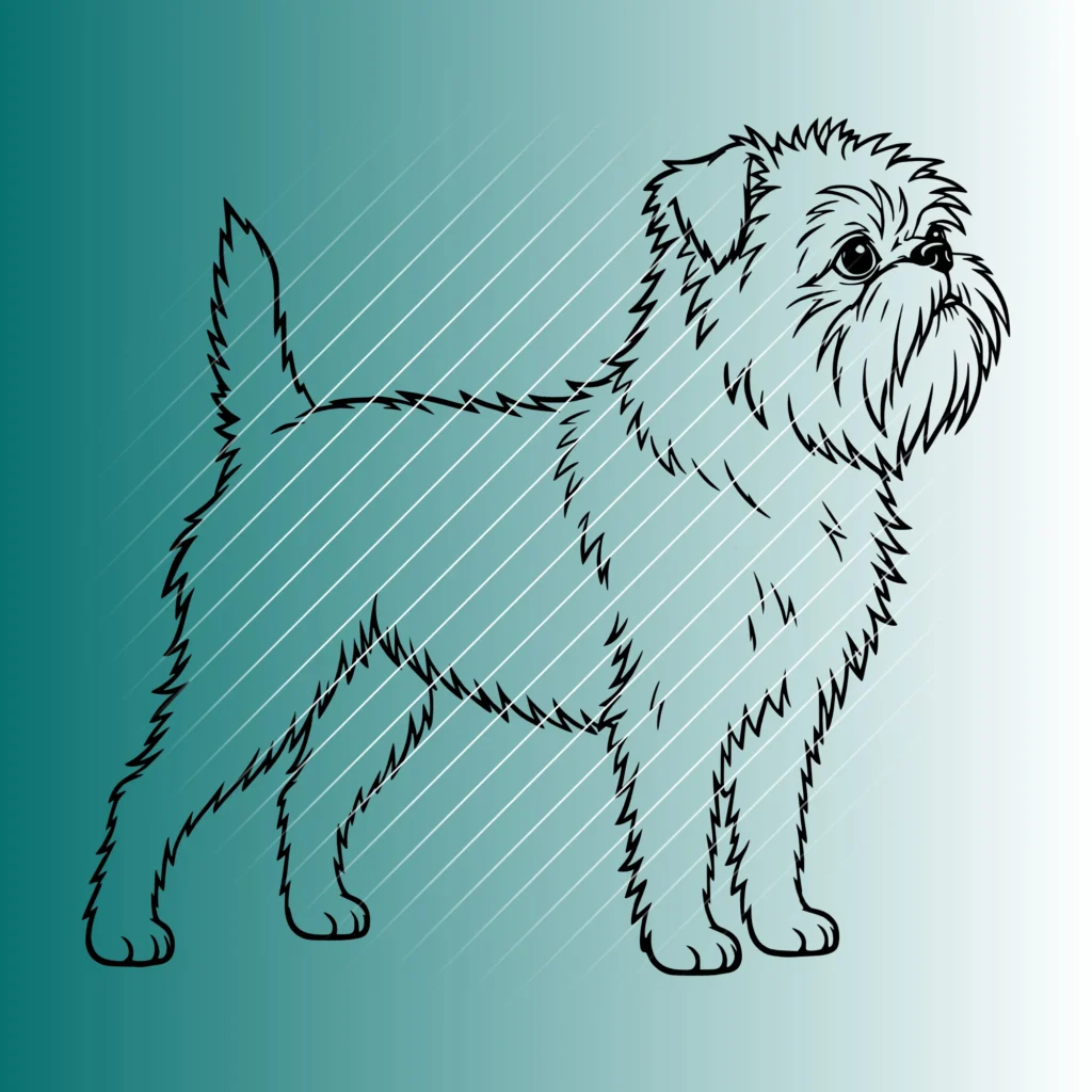 Affenpinscher Hund #5 | Plotterdatei SVG & PNG
