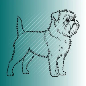 Affenpinscher Hund #5 | Plotterdatei SVG & PNG