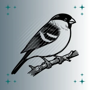Dompfaff Vogel  | Plotterdatei SVG & PNG