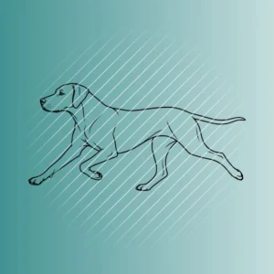 Rhodesian Ridgeback #3 | Plotterdatei SVG & PNG