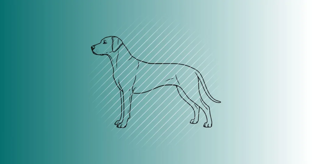 Rhodesian Ridgeback | Plotterdatei SVG & PNG