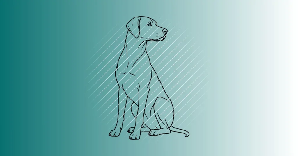 Rhodesian Ridgeback #2 | Plotterdatei SVG & PNG