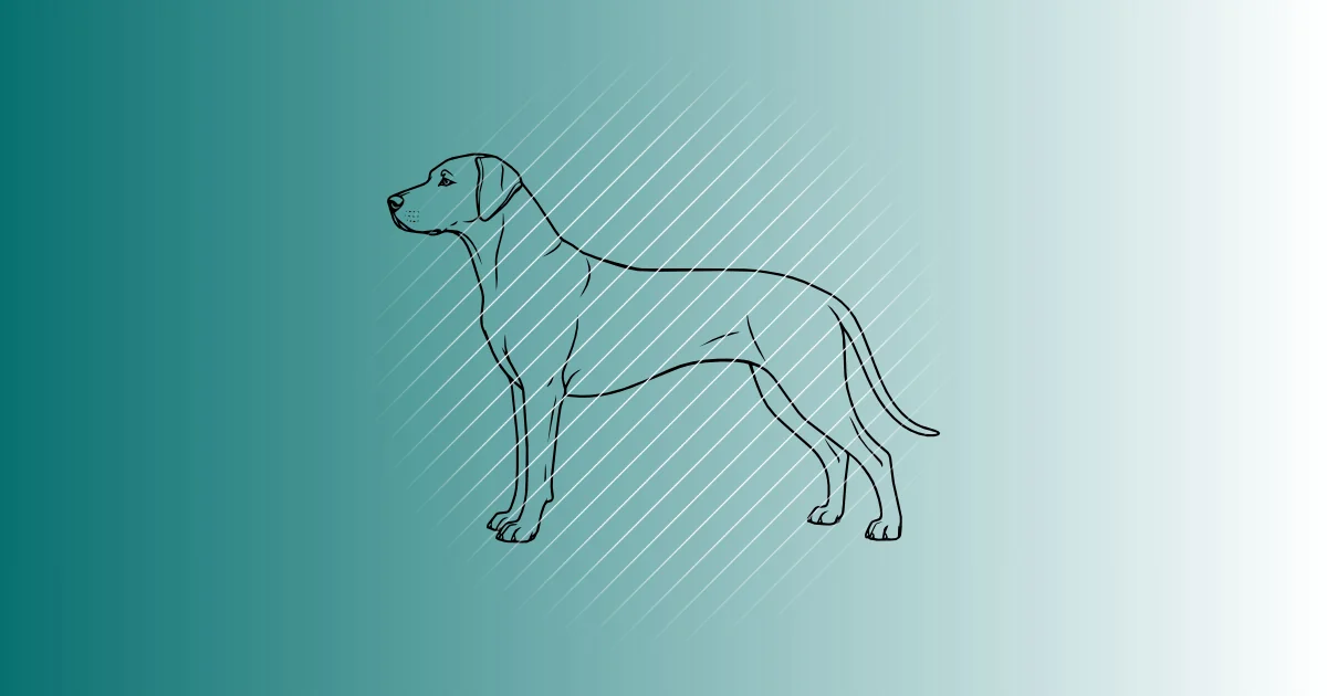 Rhodesian Ridgeback | Plotterdatei SVG & PNG