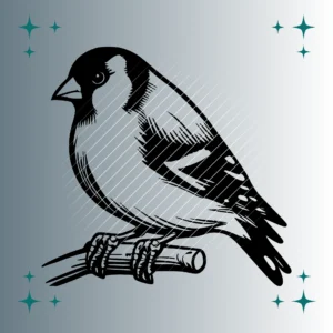 Stieglitz Vogel #3 | Plotterdatei SVG & PNG